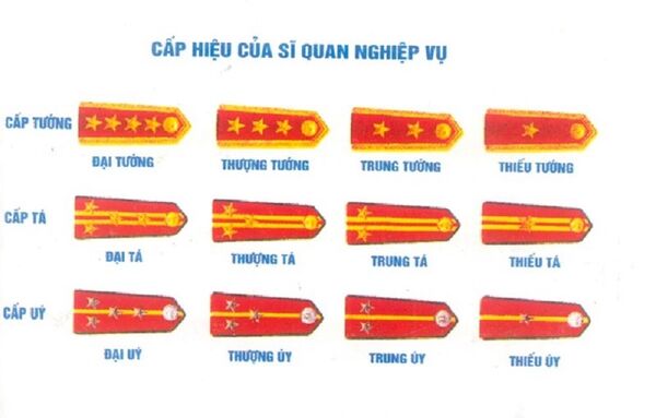 Cấp hiệu của sĩ quan nghiệp vụ trong lực lượng công an nhân dân - Sputnik Việt Nam
