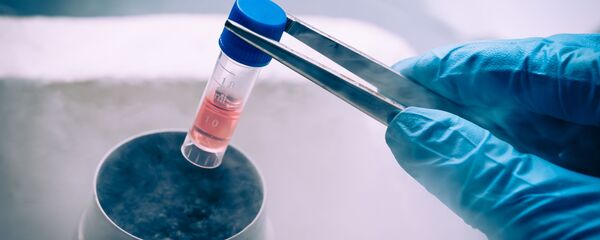 Tế bào gốc Tế bào gốc - Sputnik Việt Nam