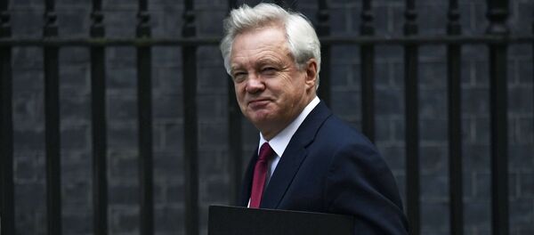 David Davis, Secretary of State for Exiting the European Union arrives at Downing Street in London, Britain October 24, 2016. - Sputnik Việt Nam
