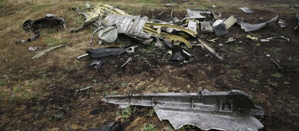 Tai nạn máy bay Boeing ở Ukraina - Sputnik Việt Nam