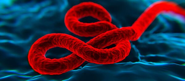 Ebola - Sputnik Việt Nam