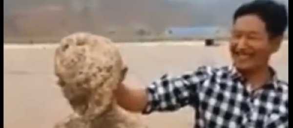 Sinh vật kỳ lạ được phát hiện trôi dạt vào một bờ biển ở Trung Quốc. - Sputnik Việt Nam