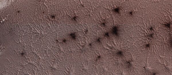 NASA cho thấy ảnh vua nhện sao Hỏa - Sputnik Việt Nam