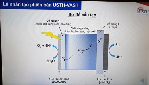 Sơ đồ cấu tạo Lá nhân tạo - Sputnik Việt Nam