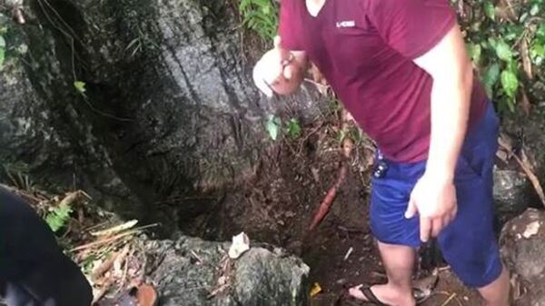 Nhà ngoại cảm liên tiếp nổ rằng, đây là cửa hang mở vào kho báu Nhà ngoại cảm liên tiếp nổ rằng, đây là cửa hang mở vào kho báu - Sputnik Việt Nam