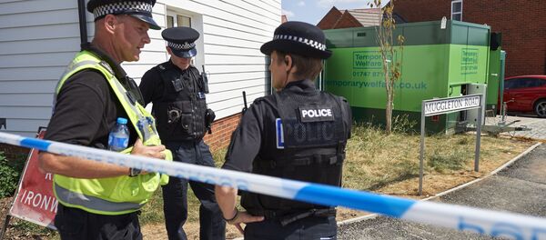 Amesbury, Anh - Sputnik Việt Nam