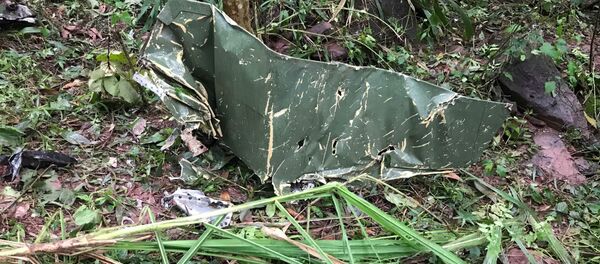 Các bộ phận của máy bay Su22 rơi tại hiện trường. - Sputnik Việt Nam