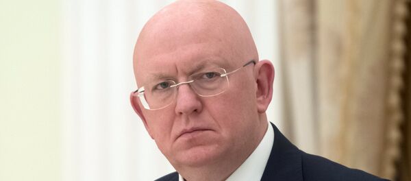 Đại diện thường trực của Liên bang Nga tại Liên Hợp Quốc Vasily Nebenzia  - Sputnik Việt Nam