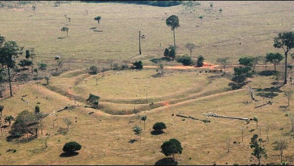 Amazonia - Sputnik Việt Nam