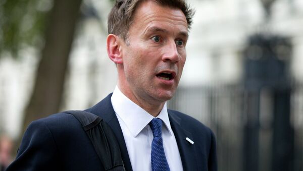 Bộ trưởng Ngoại giao Anh Jeremy Hunt - Sputnik Việt Nam