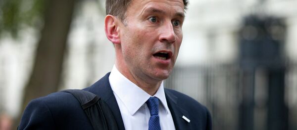 Bộ trưởng Ngoại giao Anh Jeremy Hunt - Sputnik Việt Nam
