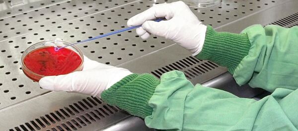 Vi khuẩn - Sputnik Việt Nam