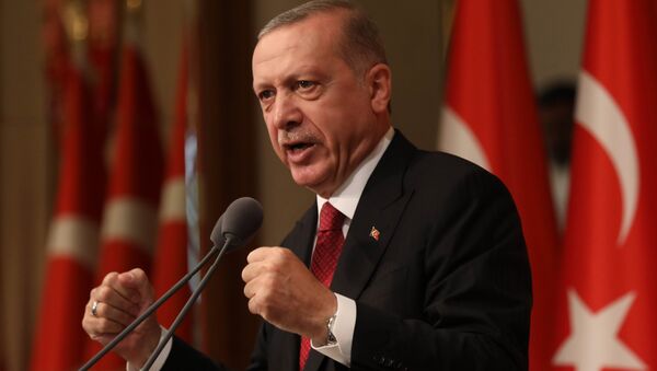 Tổng thống Thổ Nhĩ Kỳ Tayyip Erdogan - Sputnik Việt Nam