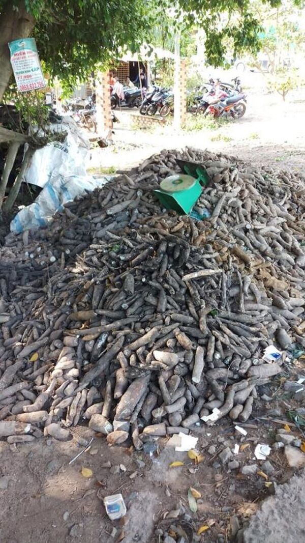 Hiện trường nơi bà Bích tử vong trong lúc làm việc với đoàn kiểm tra liên ngành xã Tân Hội - Sputnik Việt Nam