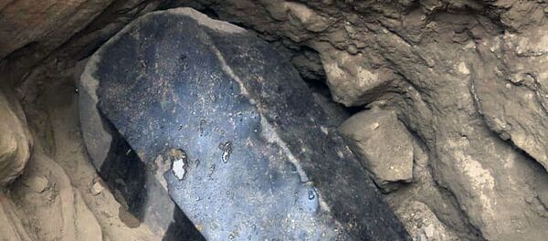 Chiếc quách màu đen được tìm thấy ở thành phố Alexandria của Ai Cập - Sputnik Việt Nam