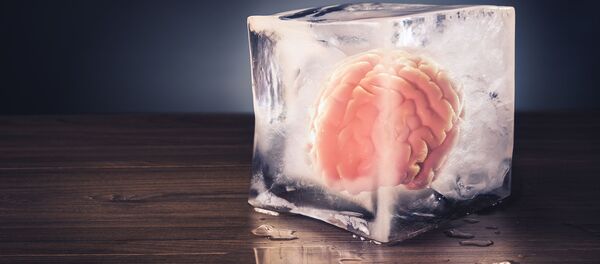 Bộ não đông lạnh Bộ não đông lạnh - Sputnik Việt Nam