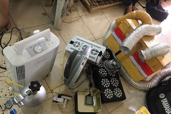 Hệ thống máy móc để sản xuất, trồng sấy cần sa - Sputnik Việt Nam