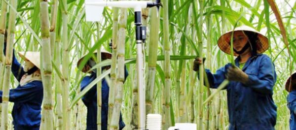 Asia Nikkei Review nắm bắt những tín hiệu cho thấy sự chuyển dịch công nghệ trong nền kinh tế Việt Nam. Asia Nikkei Review nắm bắt những tín hiệu cho thấy sự chuyển dịch công nghệ trong nền kinh tế Việt Nam. - Sputnik Việt Nam