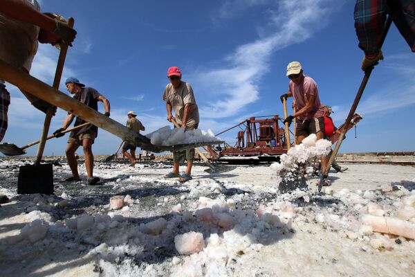 Khai thác muối màu hồng trên hồ Sasyk-Sivash ở Crưm - Sputnik Việt Nam