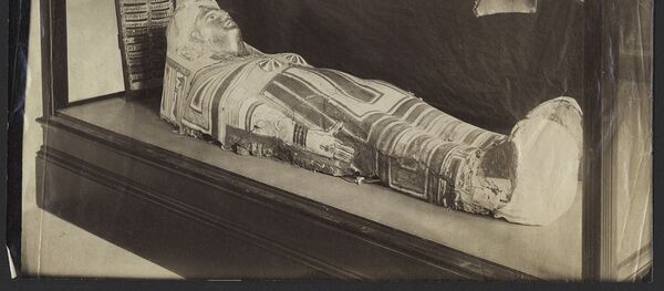 Chiếc quan tài vốn nằm trong bộ sưu tập của cơ sở giáo dục đại học Stanford - Sputnik Việt Nam