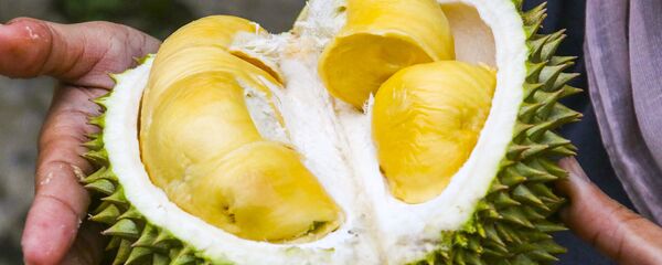 sầu riêng - Sputnik Việt Nam