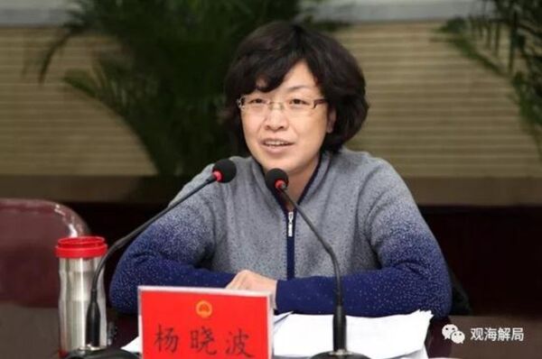 Dương Hiểu Ba - Sputnik Việt Nam