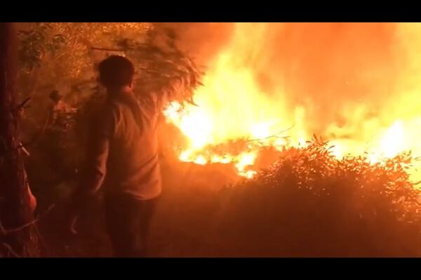 HÀNG TRĂM NGƯỜI TRẮNG ĐÊM CHỮA CHÁY RỪNG Ở QUẢNG BÌNH - Sputnik Việt Nam