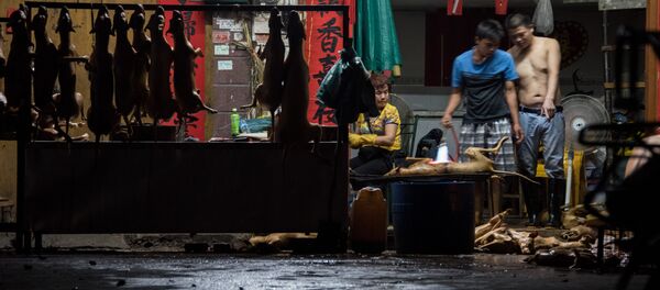 Thịt chó ở Trung Quốc - Sputnik Việt Nam