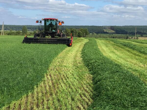 Cánh đồng nguyên liệu TH Rus - Sputnik Việt Nam