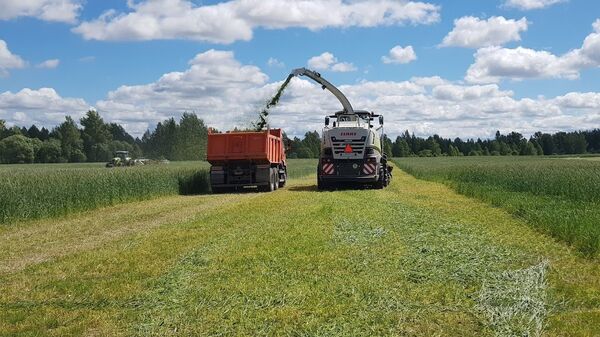 Thu hoạch cỏ - Sputnik Việt Nam