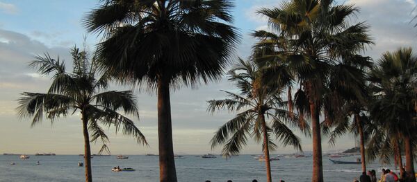 Pattaya, Thái Lan  - Sputnik Việt Nam