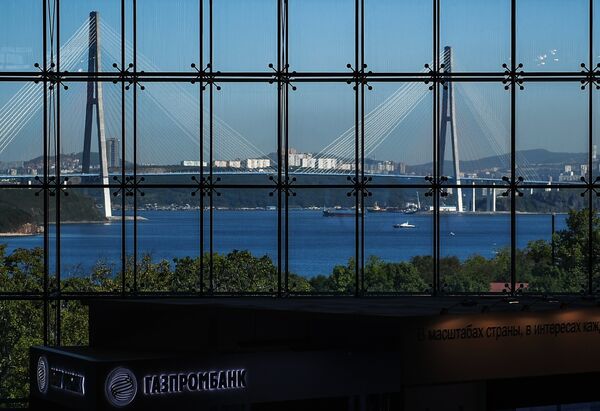 Diễn đàn Kinh tế Đông EEF-2018 - Sputnik Việt Nam