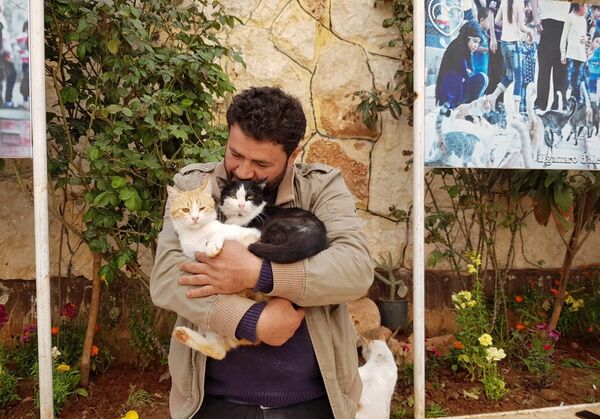 Trại nuôi dưỡng mèo của Muhammed Alaa al Jaleel ở Syria  - Sputnik Việt Nam