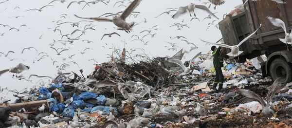 Выгрузка мусора на свалке бытовых отходов в Ленинградской области - Sputnik Việt Nam