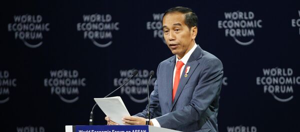 Tổng thống Indonesia Joko Widodo phát biểu tại Phiên khai mạc toàn thể WEF ASEAN 2018 Tổng thống Indonesia Joko Widodo phát biểu tại Phiên khai mạc toàn thể WEF ASEAN 2018 - Sputnik Việt Nam