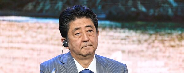 Thủ tướng Nhật Bản Shinzo Abe - Sputnik Việt Nam