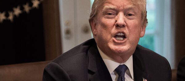 Donald Trump - Sputnik Việt Nam