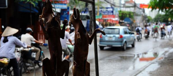 Chó thui ở một quán ăn trên đường phố Hà Nội, Việt Nam - Sputnik Việt Nam