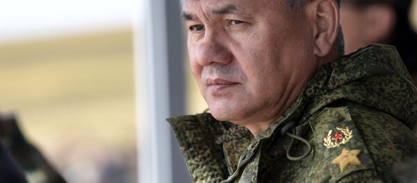 Sergei Shoigu - Sputnik Việt Nam