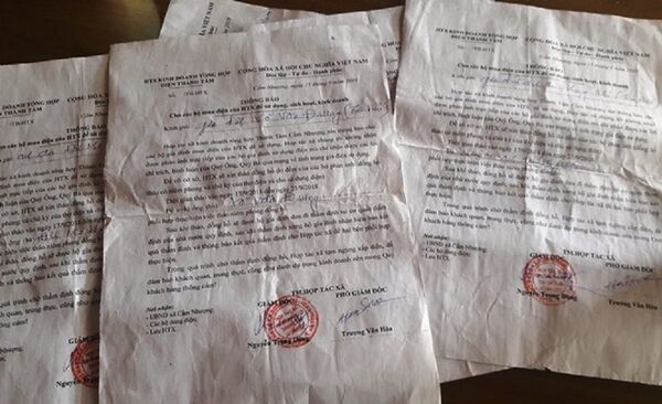 Thông báo tháo đồng hồ và ngừng cấp điện của Hợp tác xã kinh doanh điện tổng hợp Thành Tâm - Sputnik Việt Nam