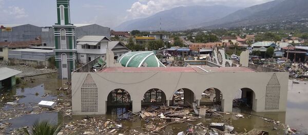 Las consecuncias del terremoto en Indonesia - Sputnik Việt Nam