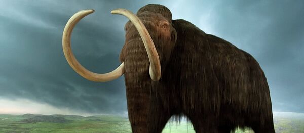 Voi Mammoth - Sputnik Việt Nam