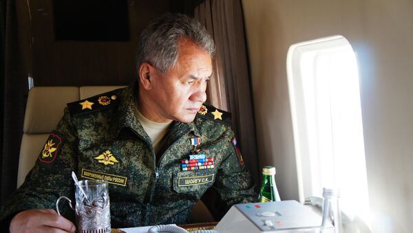 Sergey Shoigu - Sputnik Việt Nam