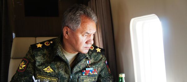 Sergey Shoigu - Sputnik Việt Nam