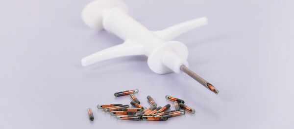 Ống tiêm có gắn vi mạch Ống tiêm có gắn vi mạch - Sputnik Việt Nam