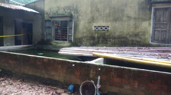 Bể cá mà cháu L. tử vong - Sputnik Việt Nam