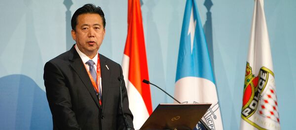 Meng Hongwei Meng Hongwei - Sputnik Việt Nam