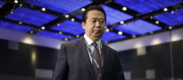 Interpol President, Meng Hongwei, walks towards the stage to deliver his opening address at the Interpol World congress on Tuesday, July 4, 2017, in Singapore - Sputnik Việt Nam