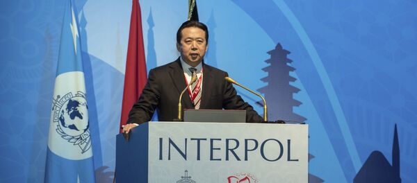 Chủ tịch Interpol Mạnh Hoành Vĩ Chủ tịch Interpol Mạnh Hoành Vĩ - Sputnik Việt Nam