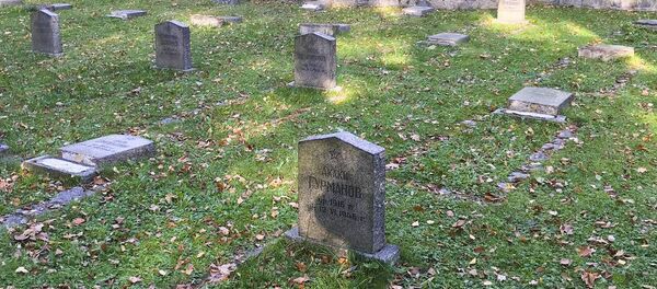 Những kẻ quá khích phá hoại các ngôi mộ của binh sĩ Liên Xô ở vùng tây nam Ba Lan - Sputnik Việt Nam